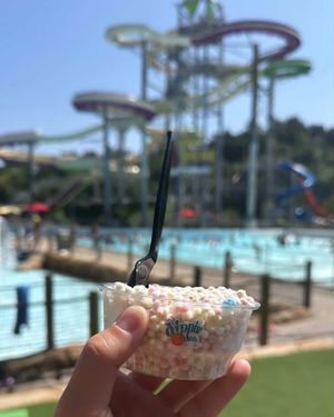 Image post by @dippindots on Instagram