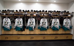 Image post by @anaheimducks on Instagram