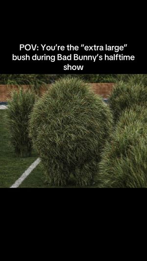 Video post by @thebigreidshow on TikTok