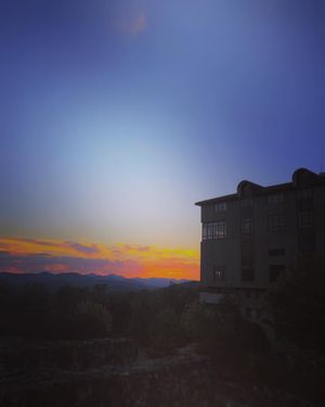 Image post by @williamamcclure on Instagram