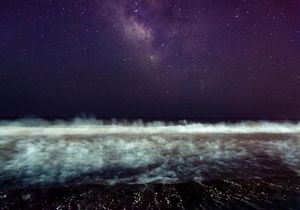 Image post by @mayasinghphotos on Instagram