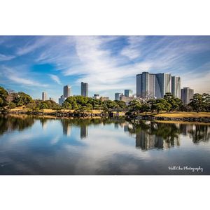Image post by @willchuphotography on Instagram