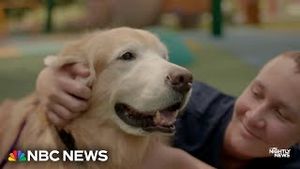 Video post by @nbcnews on YouTube