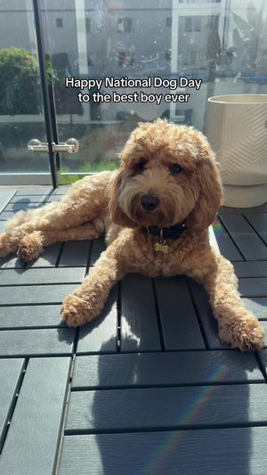 Video post by @tedflixnchill on TikTok