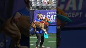 Video post by @New York Giants on YouTube