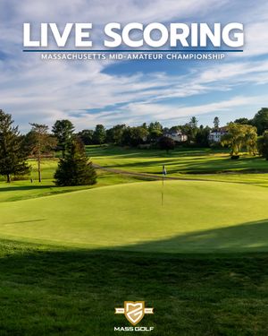 Image post by @playmassgolf on Instagram
