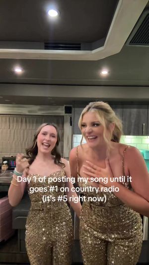 Video post by @laurenalaina on TikTok