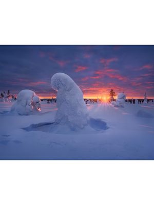 Image post by @fujifilmx_ca on Instagram