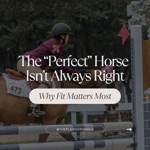 Image post by @theplaidhorsemag on Instagram