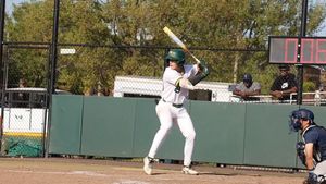 Image post by @nsu_bsb on Instagram