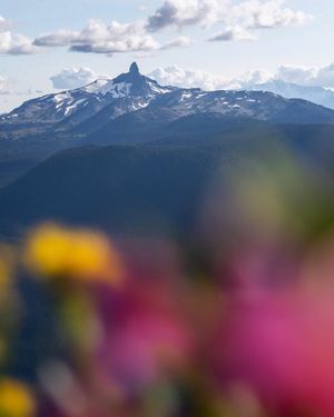 Image post by @whistlerblackcomb on Instagram