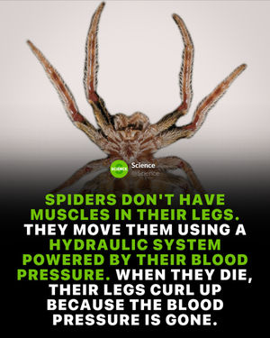 Image post by @science on Instagram