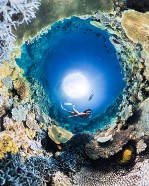 Image post by @gopro on Instagram