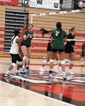 Image post by @binghamtonvb on Instagram