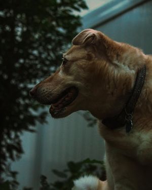 Image post by @sarahdingle.c0m on Instagram