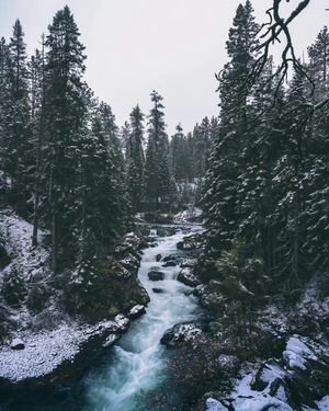 Image post by @shauns_shots on Instagram