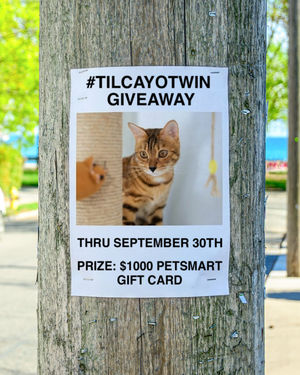 Image post by @petsmart on Instagram