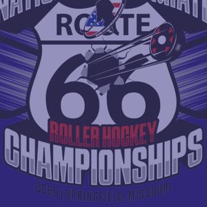 Image post by @lu_rollerhockey on Instagram