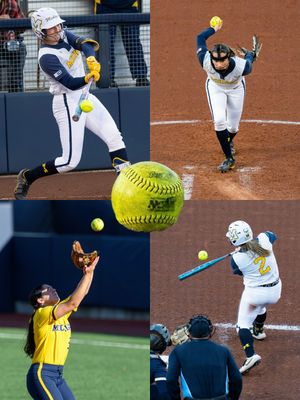 Image post by @ncaasoftball on Instagram