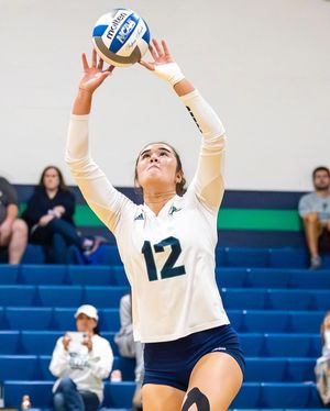 Image post by @scarantinophotos on Instagram