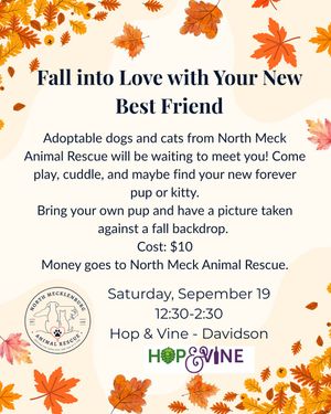 Image post by @northmeckanimalrescue on Instagram