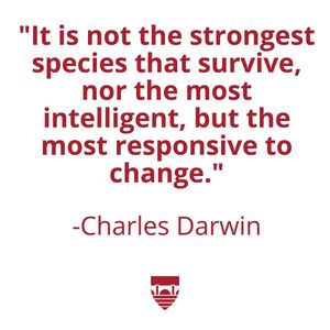 Image post by @instituteofcoaching on Instagram