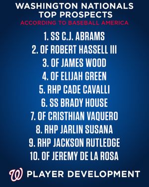 Image post by @Nats_PlayerDev on Twitter