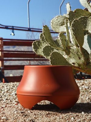 Image post by @polkaudio on Instagram