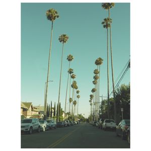 Image post by @byethanlane on Instagram