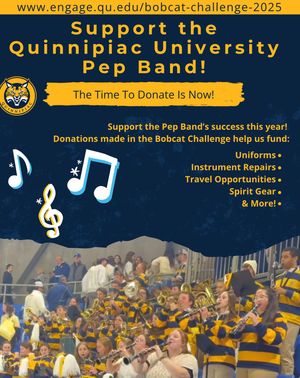 Image post by @qupepband on Instagram