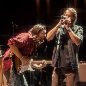 Image post by @theteskeybrothers on Instagram