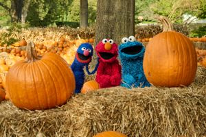 Image post by @sesamestreet on Instagram