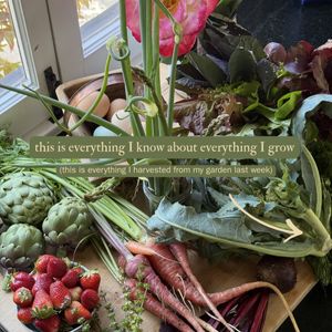 Image post by @carmeninthegarden on Instagram