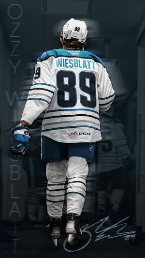 Image post by @sjbarracuda on Twitter