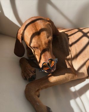 Image post by @fubiz on Instagram