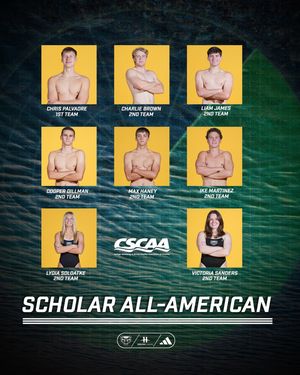 Image post by @oaklandswimdive on Instagram