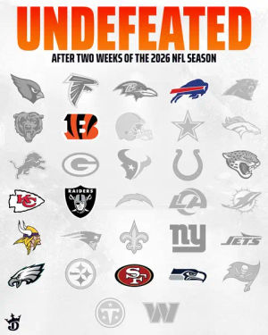 Image post by @draftkings on TikTok