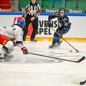 Image post by @leijonatfi on Instagram