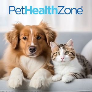 Image post by @company/nationwidepet on LinkedIn