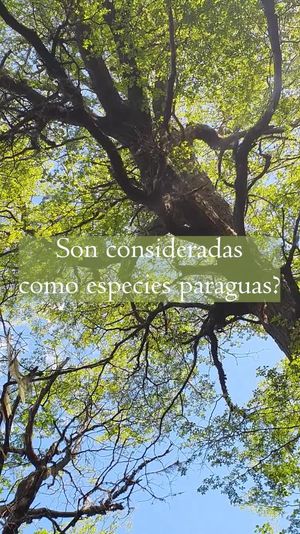 Video post by @fauna.patagonia on Facebook