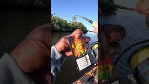 Video post by @hoodfishingentertainment on YouTube