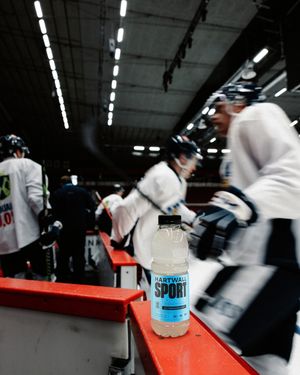Image post by @leijonatfi on Instagram