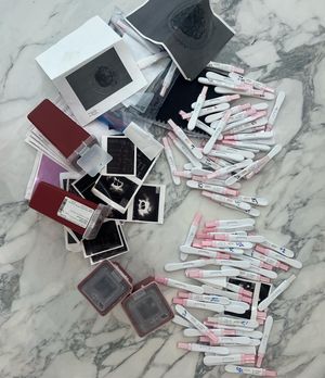 Image post by @taralipinski on Instagram