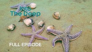 Video post by @bbcearth on YouTube