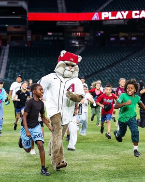 Image post by @dbacksgiveback on Instagram