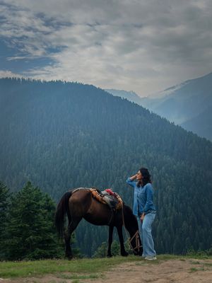 Image post by @alefiakapadia on Instagram