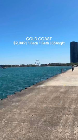 Video post by @smartcitychicago on TikTok