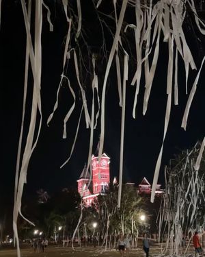 Image post by @auburntigers on Instagram