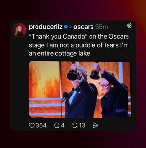 Image post by @producerliz on Facebook