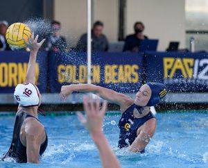 Image post by @calwwpolo on Instagram